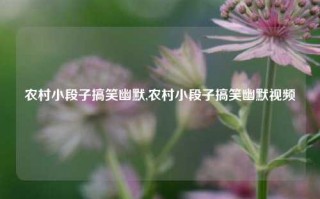 农村小段子搞笑幽默,农村小段子搞笑幽默视频