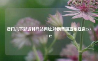 澳门六下彩资料网站网址,特朗普版宣布胜选65.97.12