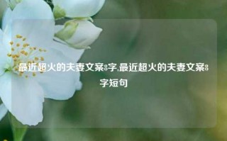 最近超火的夫妻文案8字,最近超火的夫妻文案8字短句