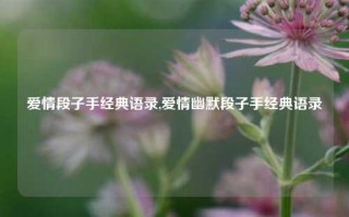 爱情段子手经典语录,爱情幽默段子手经典语录