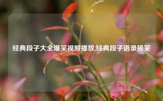 经典段子大全爆笑视频播放,经典段子语录搞笑