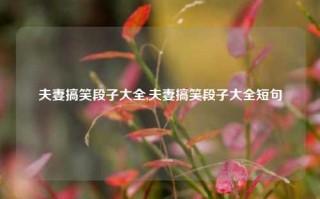 夫妻搞笑段子大全,夫妻搞笑段子大全短句