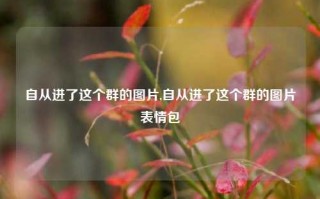 自从进了这个群的图片,自从进了这个群的图片表情包