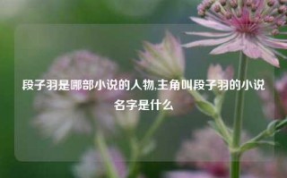 段子羽是哪部小说的人物,主角叫段子羽的小说名字是什么