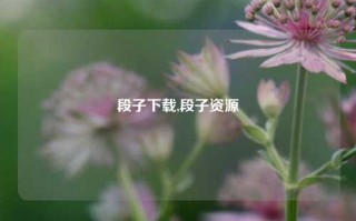 段子下载,段子资源