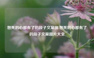 想死的心都有了的段子文案图,想死的心都有了的段子文案图片大全