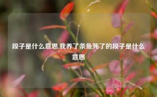 段子是什么意思,我养了条鱼死了的段子是什么意思