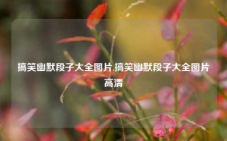 搞笑幽默段子大全图片,搞笑幽默段子大全图片高清