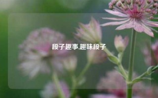 段子趣事,趣味段子