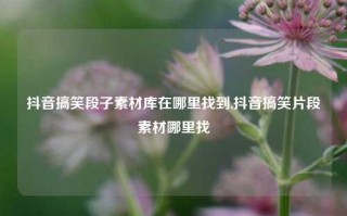 抖音搞笑段子素材库在哪里找到,抖音搞笑片段素材哪里找