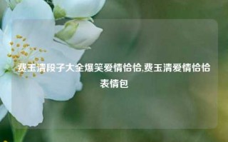 费玉清段子大全爆笑爱情恰恰,费玉清爱情恰恰表情包