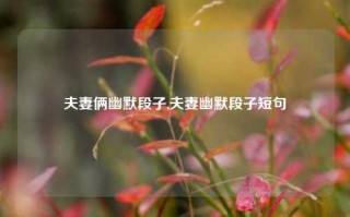 夫妻俩幽默段子,夫妻幽默段子短句