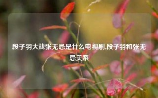 段子羽大战张无忌是什么电视剧,段子羽和张无忌关系