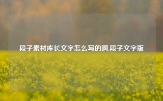 段子素材库长文字怎么写的啊,段子文字版