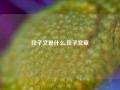 段子文是什么,段子文章