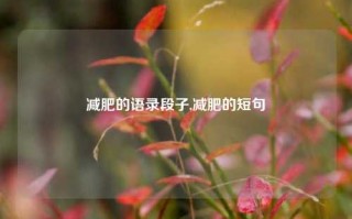 减肥的语录段子,减肥的短句