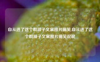 自从进了这个群段子文案图片搞笑,自从进了这个群段子文案图片搞笑说说