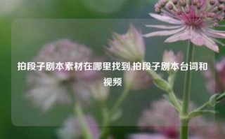 拍段子剧本素材在哪里找到,拍段子剧本台词和视频