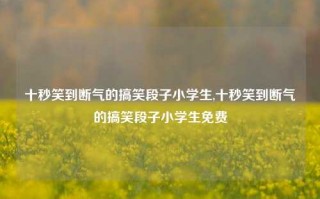 十秒笑到断气的搞笑段子小学生,十秒笑到断气的搞笑段子小学生免费