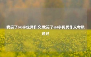 我笑了600字优秀作文,我笑了600字优秀作文考级通过