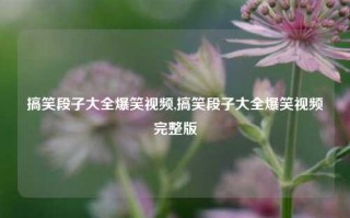 搞笑段子大全爆笑视频,搞笑段子大全爆笑视频完整版