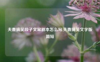 夫妻搞笑段子文案剧本怎么写,夫妻搞笑文字版简短