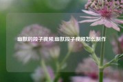 幽默的段子视频,幽默段子视频怎么制作