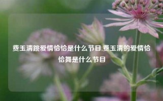 费玉清跳爱情恰恰是什么节目,费玉清的爱情恰恰舞是什么节目