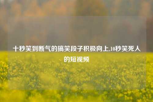 十秒笑到断气的搞笑段子积极向上,10秒笑死人的短视频-第1张图片-我笑了