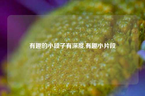 有趣的小段子有深度,有趣小片段-第1张图片-我笑了