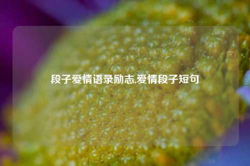 段子爱情语录励志,爱情段子短句-第1张图片-我笑了