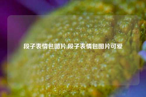 段子表情包图片,段子表情包图片可爱-第1张图片-我笑了