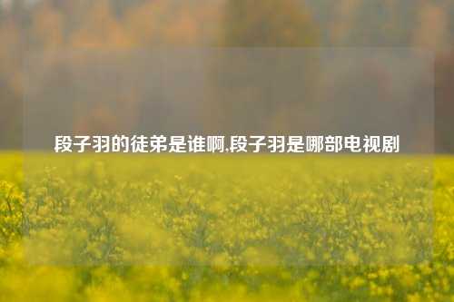 段子羽的徒弟是谁啊,段子羽是哪部电视剧-第1张图片-我笑了