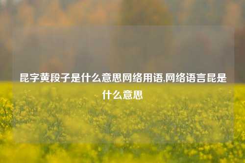 昆字黄段子是什么意思网络用语,网络语言昆是什么意思-第1张图片-我笑了