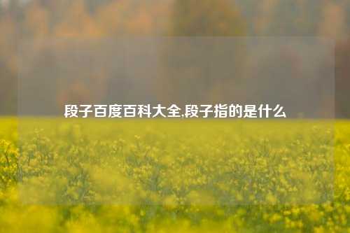 段子百度百科大全,段子指的是什么-第1张图片-我笑了