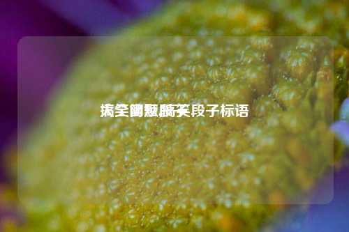 搞笑幽默段子
大全简短,搞笑段子标语-第1张图片-我笑了