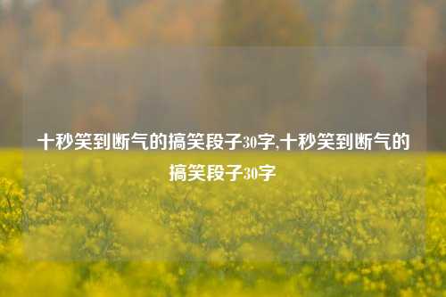 十秒笑到断气的搞笑段子30字,十秒笑到断气的搞笑段子30字-第1张图片-我笑了