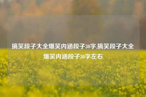 搞笑段子大全爆笑内涵段子30字,搞笑段子大全爆笑内涵段子30字左右-第1张图片-我笑了