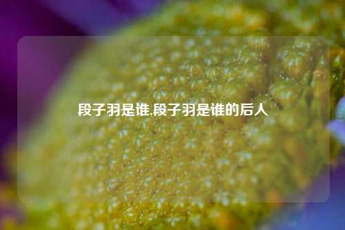 段子羽是谁,段子羽是谁的后人-第1张图片-我笑了