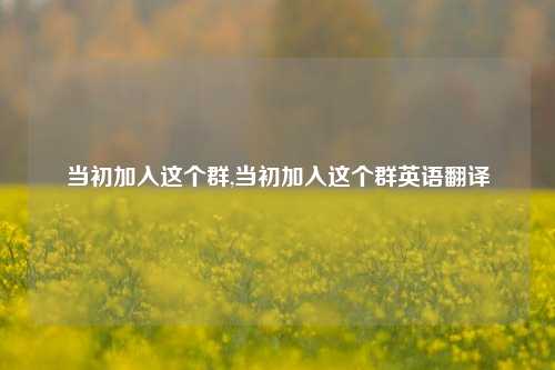 当初加入这个群,当初加入这个群英语翻译-第1张图片-我笑了