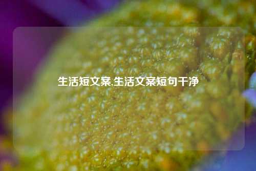 生活短文案,生活文案短句干净-第1张图片-我笑了