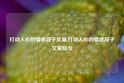 打动人心的情感段子文案,打动人心的情感段子文案短句-第1张图片-我笑了