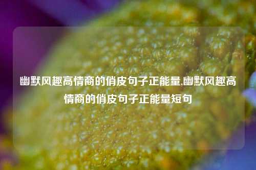 幽默风趣高情商的俏皮句子正能量,幽默风趣高情商的俏皮句子正能量短句-第1张图片-我笑了