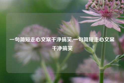 一句简短走心文案干净搞笑,一句简短走心文案干净搞笑-第1张图片-我笑了