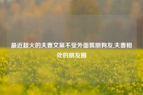 最近超火的夫妻文案不受外面狐朋狗友,夫妻相处的朋友圈-第1张图片-我笑了