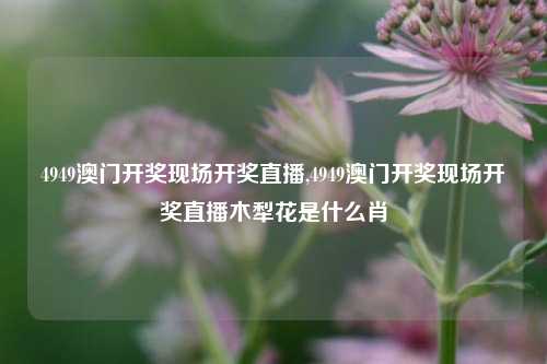 4949澳门开奖现场开奖直播,4949澳门开奖现场开奖直播木犁花是什么肖-第1张图片-我笑了