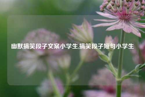 幽默搞笑段子文案小学生,搞笑段子短句小学生-第1张图片-我笑了