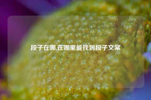 段子在哪,在哪里能找到段子文案-第1张图片-我笑了