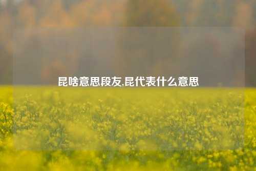 昆啥意思段友,昆代表什么意思-第1张图片-我笑了