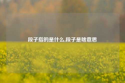 段子指的是什么,段子是啥意思-第1张图片-我笑了